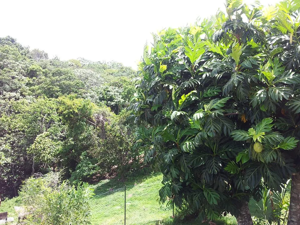 Casa vacanze Villa Kaz A Ti Jo Petit-Bourg Guadalupa